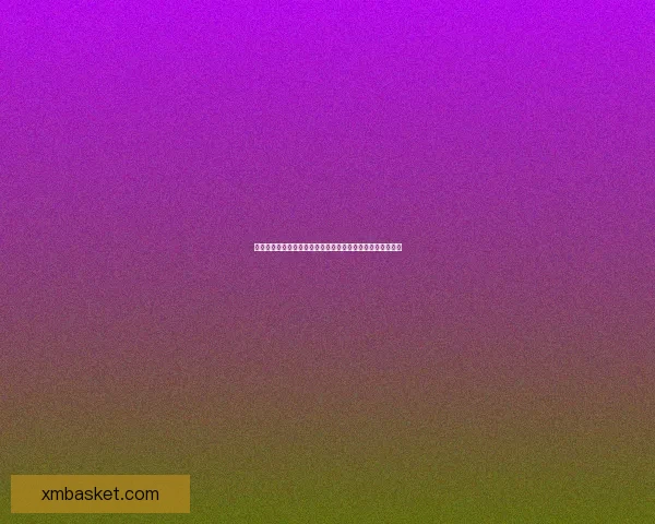 熊猫体育篮球：重塑中国篮球未来，打造全新竞技与娱乐体验